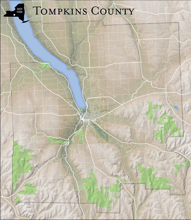 I haven't dealt with the natural areas yet, but this is generally what the base looks like at the moment.